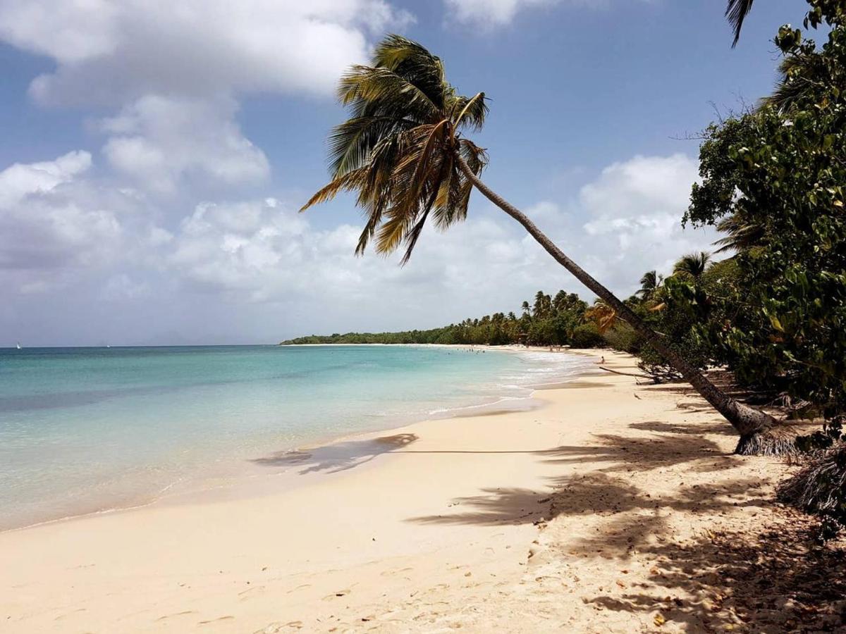 Dany Lodge - Spacieux T2 A 5 Minutes De La Plage En Voiture Riviere-Pilote Экстерьер фото
